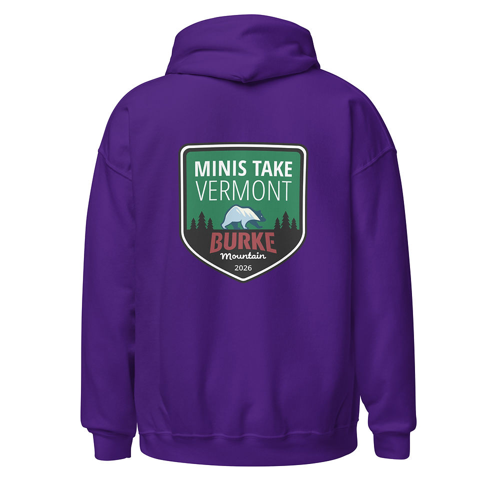 Thumbnail: Embroidered Heavy Blend Unisex Hoodie