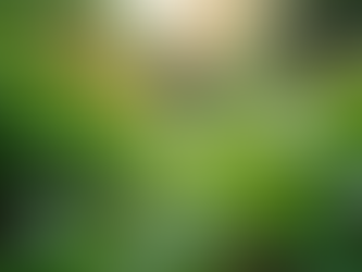 The Importance of Sustainable Living in Today's World