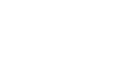 AWARD WINNER - Indo Global International