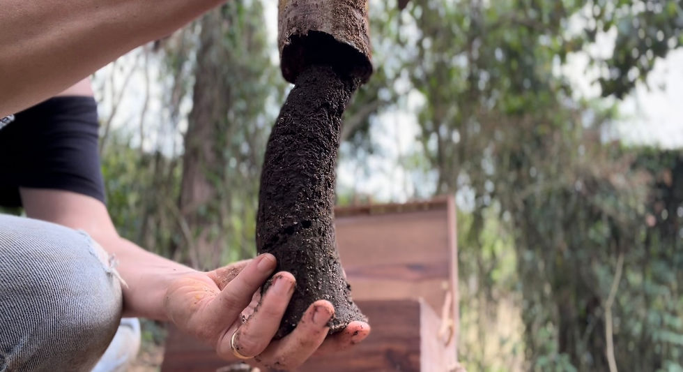 Preparados Biodinâmicos