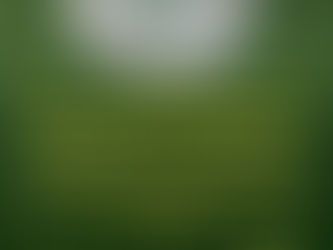 Zukunftsprojekt Kunstrasen auf dem Hauptplatz