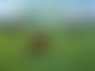 ⚽ SAVE THE DATE – SCZ WEEKEND ⚽