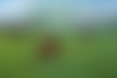 ⚽ SAVE THE DATE – SCZ WEEKEND ⚽