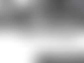 Nostalgie - SCZ News aus dem Jahre 2013