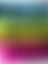 The Big Plastic Count