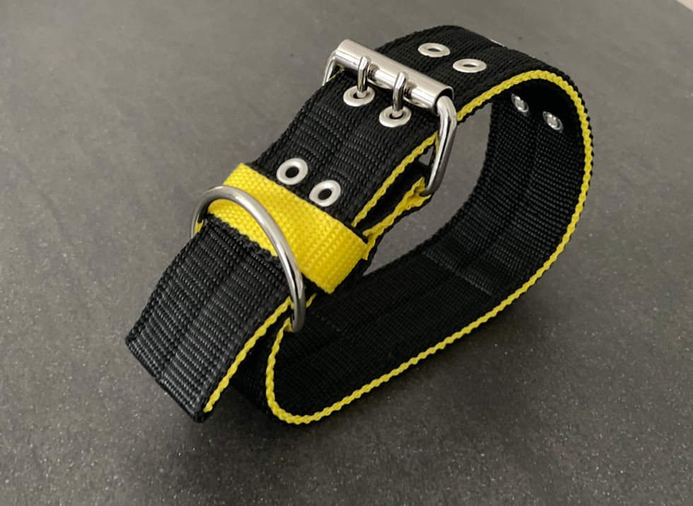 Thumbnail: Black & Yellow 5CM Double Buckle Dog Collar