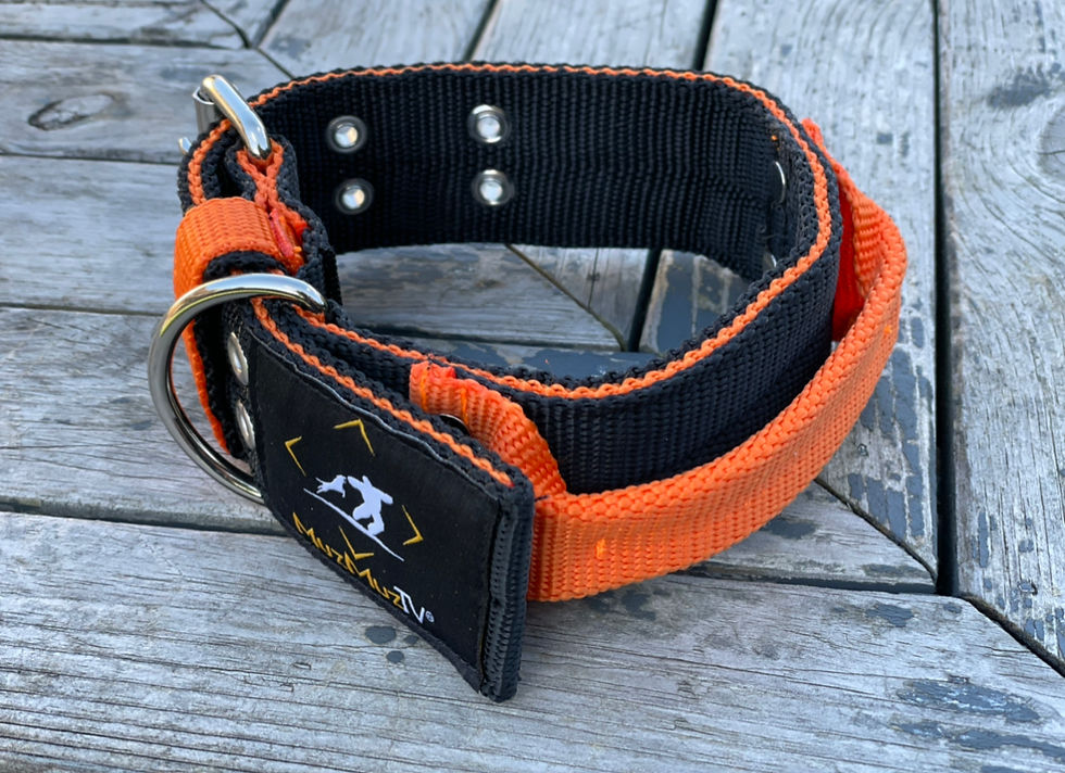 Thumbnail: Black & Orange 5CM Double Buckle Dog Collar with Handle