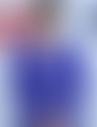 #自民党総裁 決定