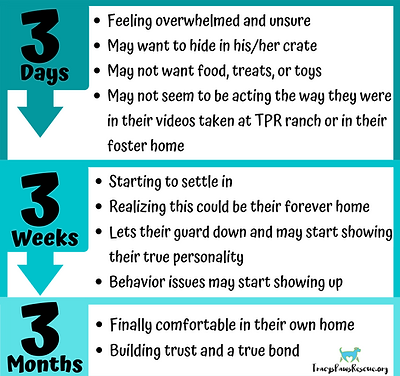 Copy of 3 Days.png