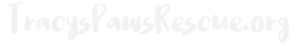 Untitled design (1).png