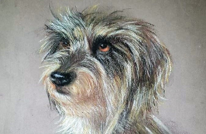 Tierportrait