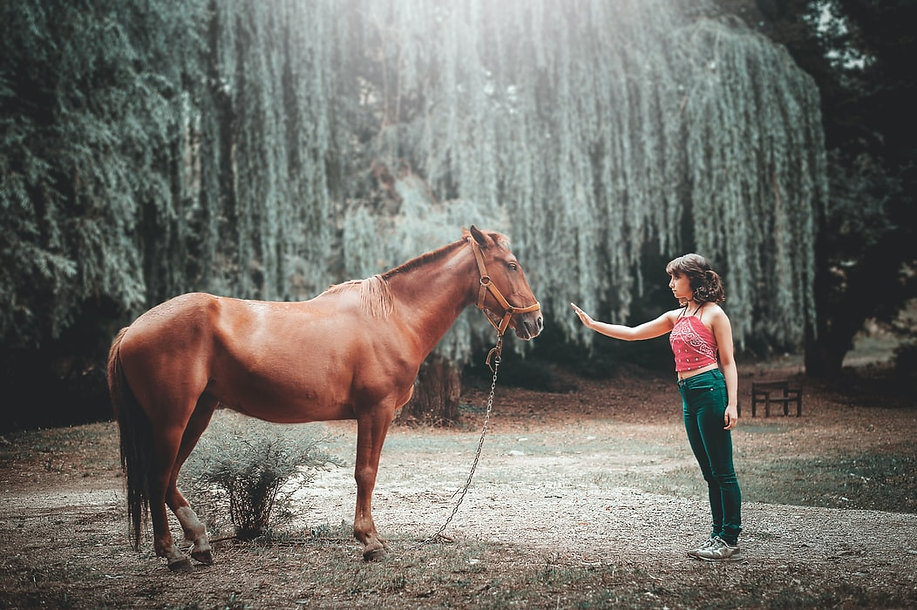 PRAKTIJK voor HAPTOTHERAPIE en PAARDEN