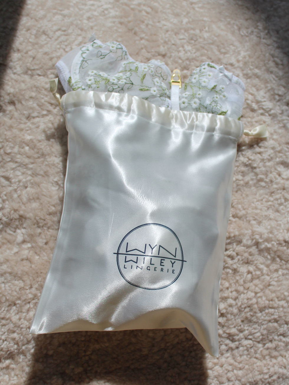 Thumbnail: W-W Lingerie Storage Bag