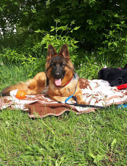 IMG-20260412-WA0001