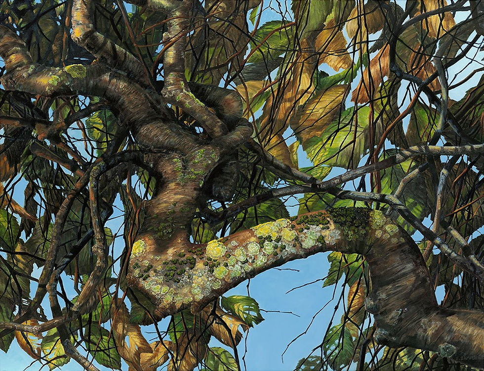 Gnarled Fingers