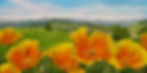 image0 (4).jpeg