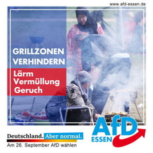 AfD-Antrag durch Bezirksvertretung angenommen