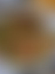 Cucumber, Tomatoes & Avocados Salad