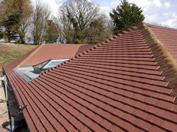 PHOTO-2019-12-09-22-08-35[1]