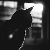 gijs-coolen-GSGIU269LxU-unsplash.jpg