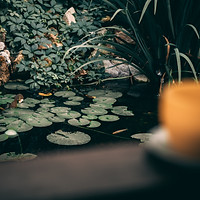roland-denes-24XwBsu7jD8-unsplash.jpg