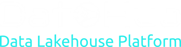 DataHub - logo ON DARK - V3 - Full.png