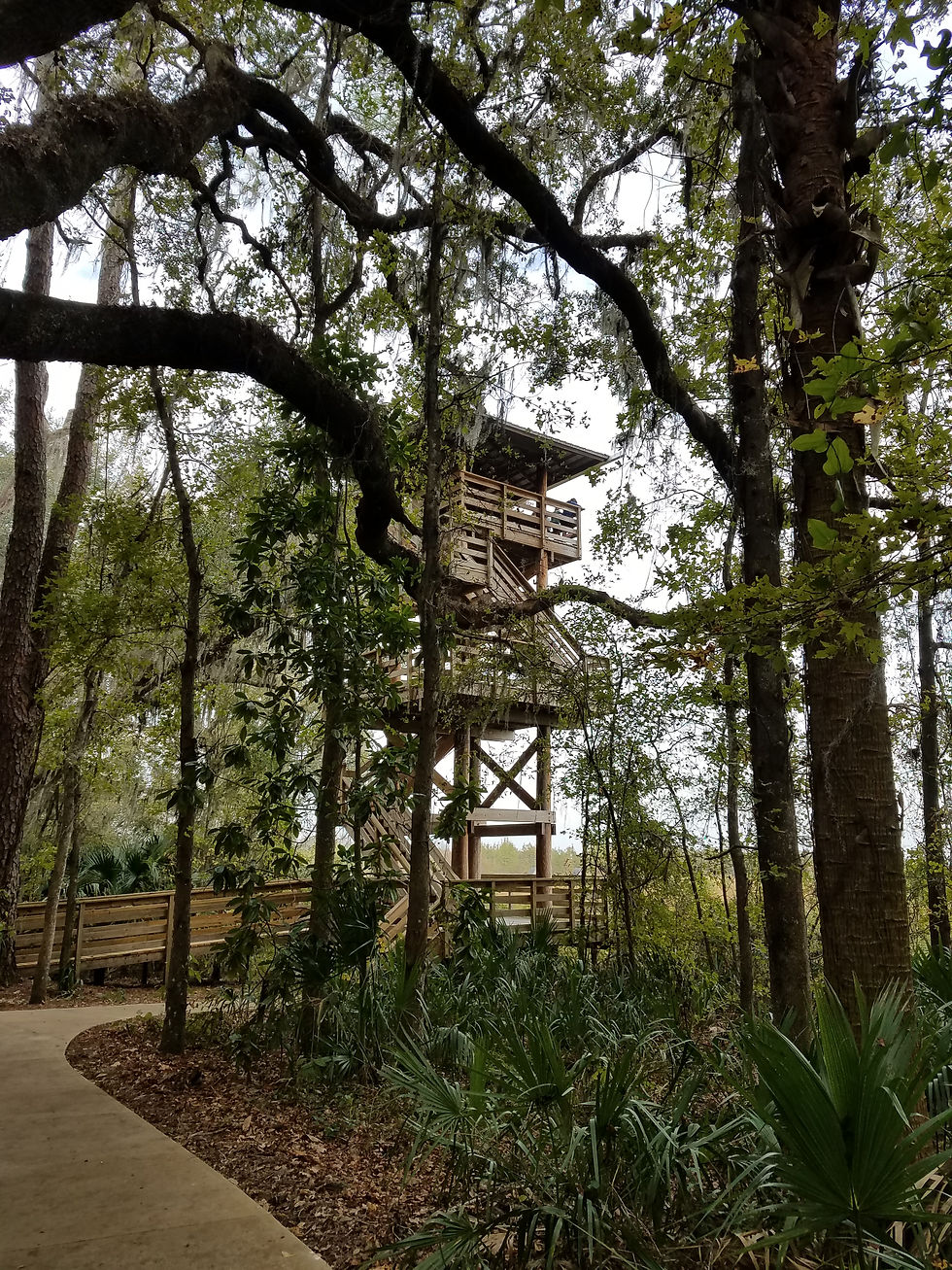 Observation Tower overlooking the Prarie