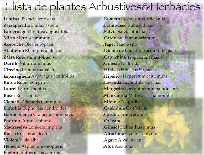 Lista de plantas