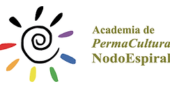 Academia Nodo Espiral