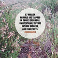 1.7m animals are trapped in snares each year