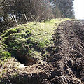 Edge of forest and field where earth has been moved to cover a badger sett entrance