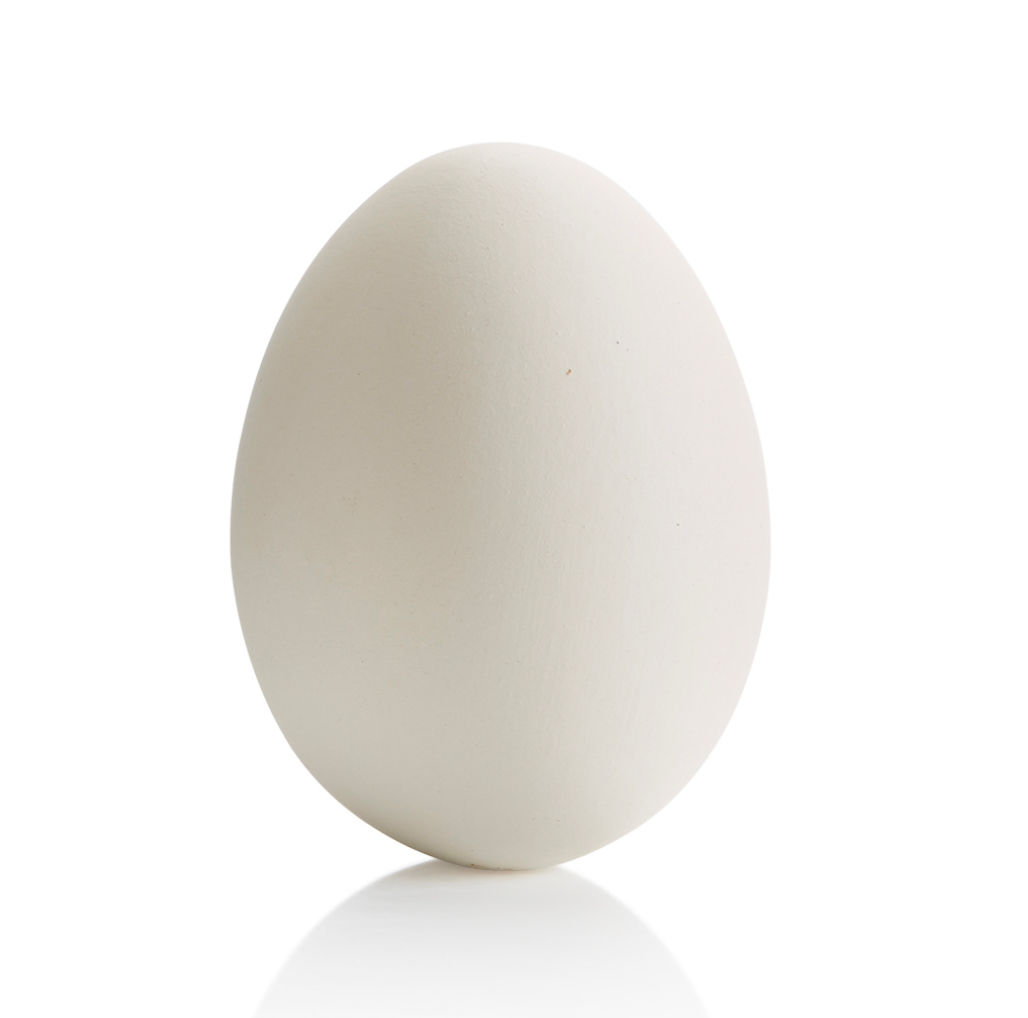 Bisque Ceramic Egg