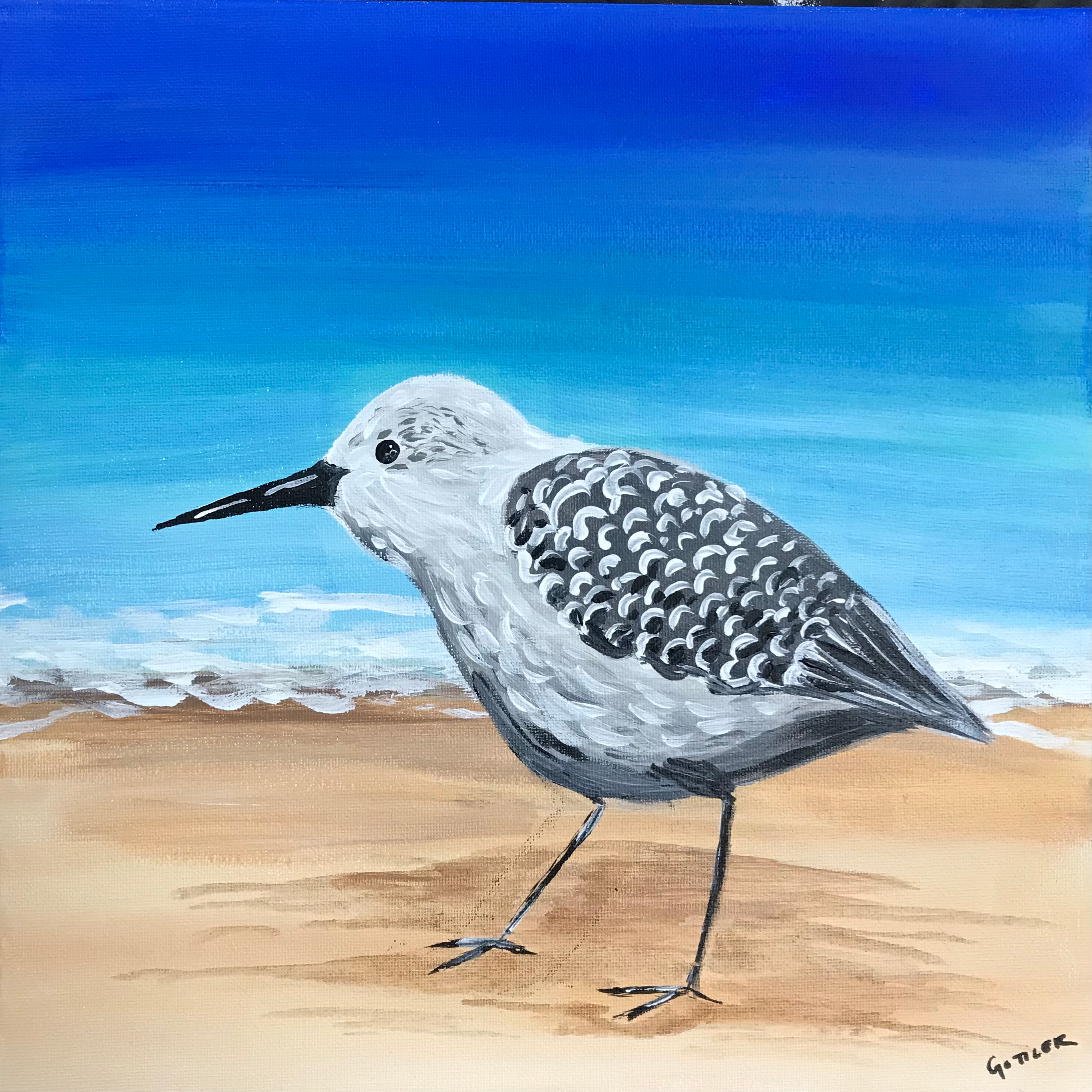 Sand Piper Painting
