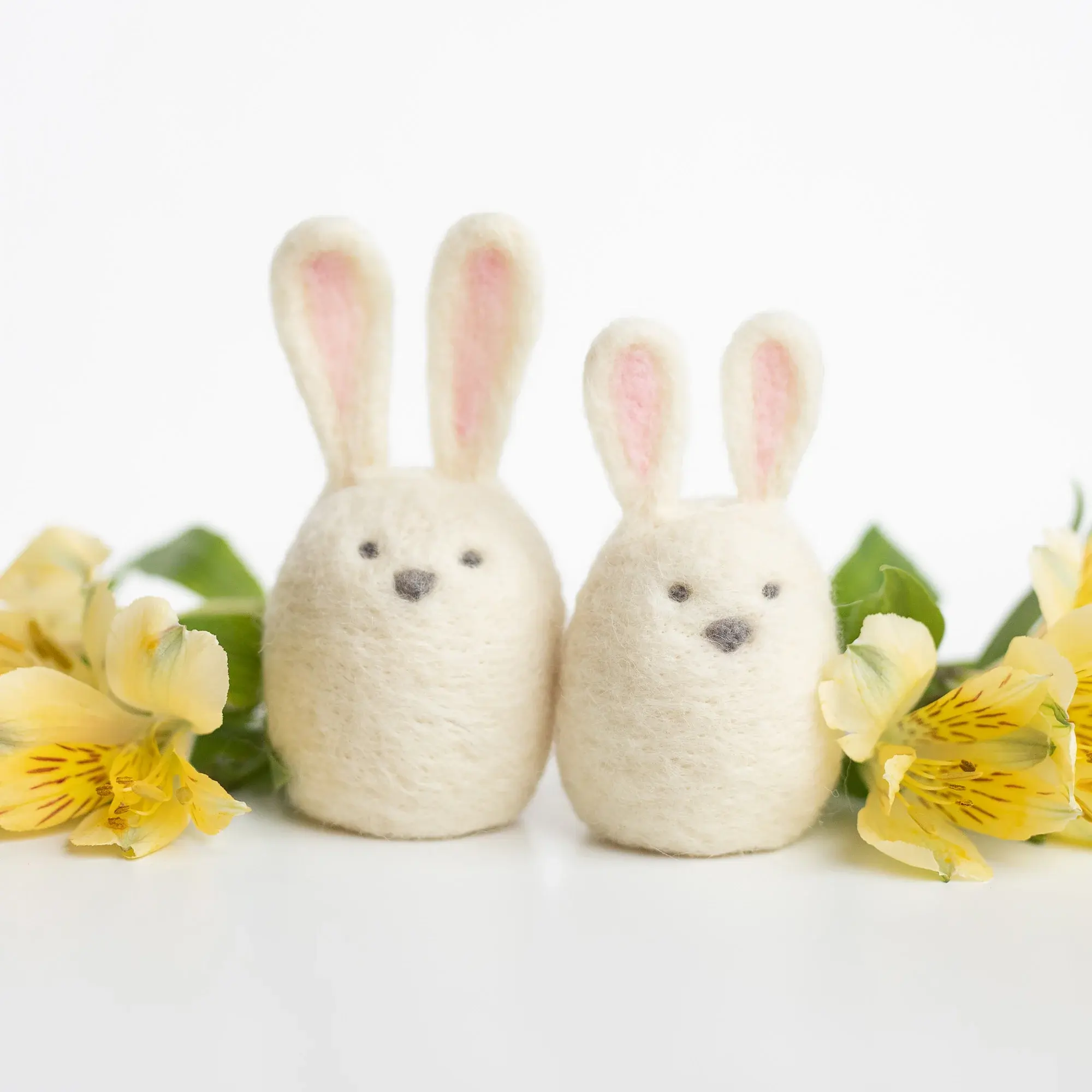 Needle Felting Kits