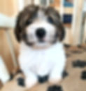 Betty 2015_edited_edited.jpg