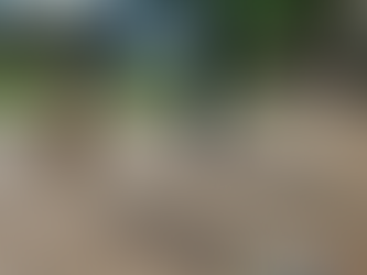 Survivor Solidarity Run Virtual Event set for May 2, 2020  