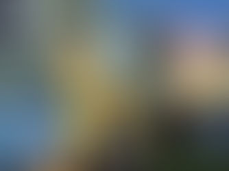 Understanding (ALE) Additional Living Expenses Insurance Coverage for Homeowners