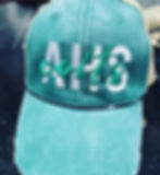 AHS Colts Hat