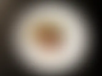 Gesünderes Fleisch durch Antioxidantien?