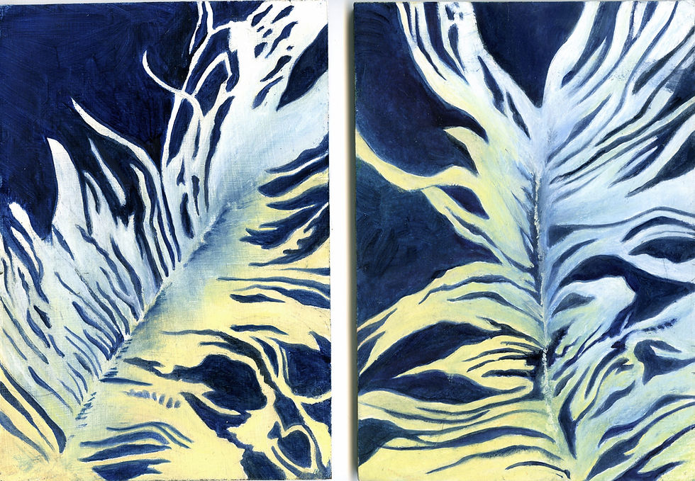 Blue/Yellow Feathers