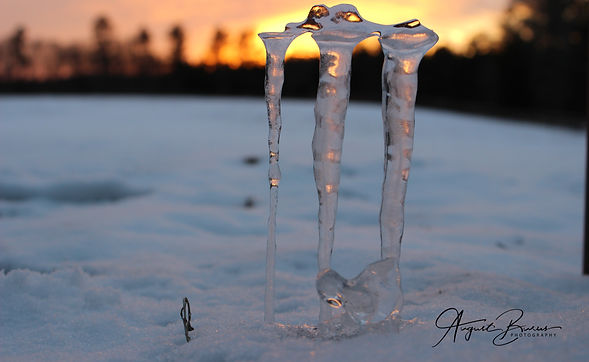 Angel Icicles.jpg