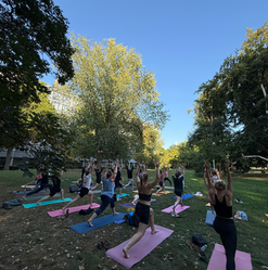 yoga im park neustadt bremen special event