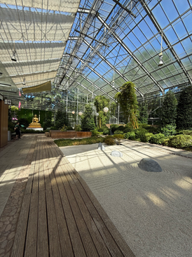 Yin Yang Yoga mit Gong Entspannungsreise in der Oase der Grünen Ruhe (botanika), Bremen. Die ultimative Yoga-Auszeit vom hektischen Alltag. Mit Yogalehrerin Janice Allermann.