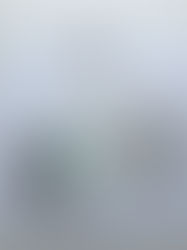 Week One - Weekly Evaluation