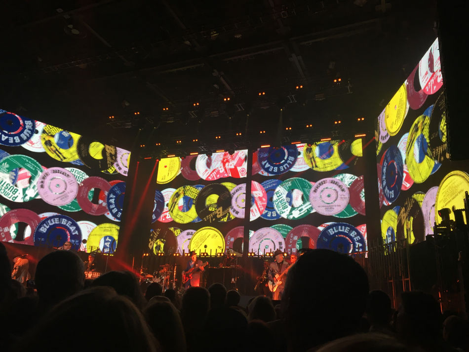 Project Launch - FINAL MAJOR PROJECT