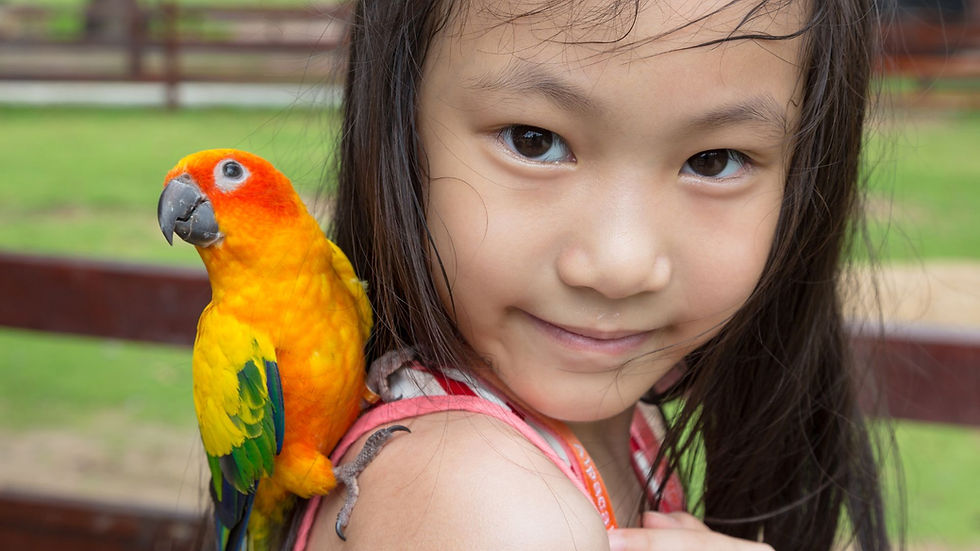 Girl with a pet bird