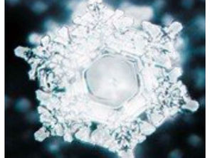 Costruire il proprio Fiore della Vita