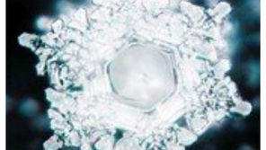 Costruire il proprio Fiore della Vita