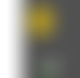 College Project: Skills Gap 1 - Part 1