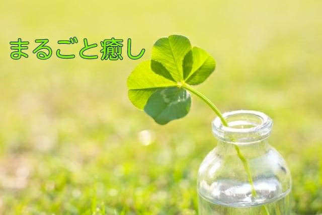 美いず主催のイベントイメージです